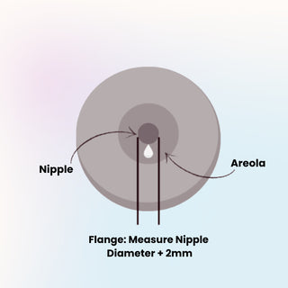 Diagram showing the parts of a breast prosthesis with labeled 'Nipple', 'Areola', and 'Flange'.